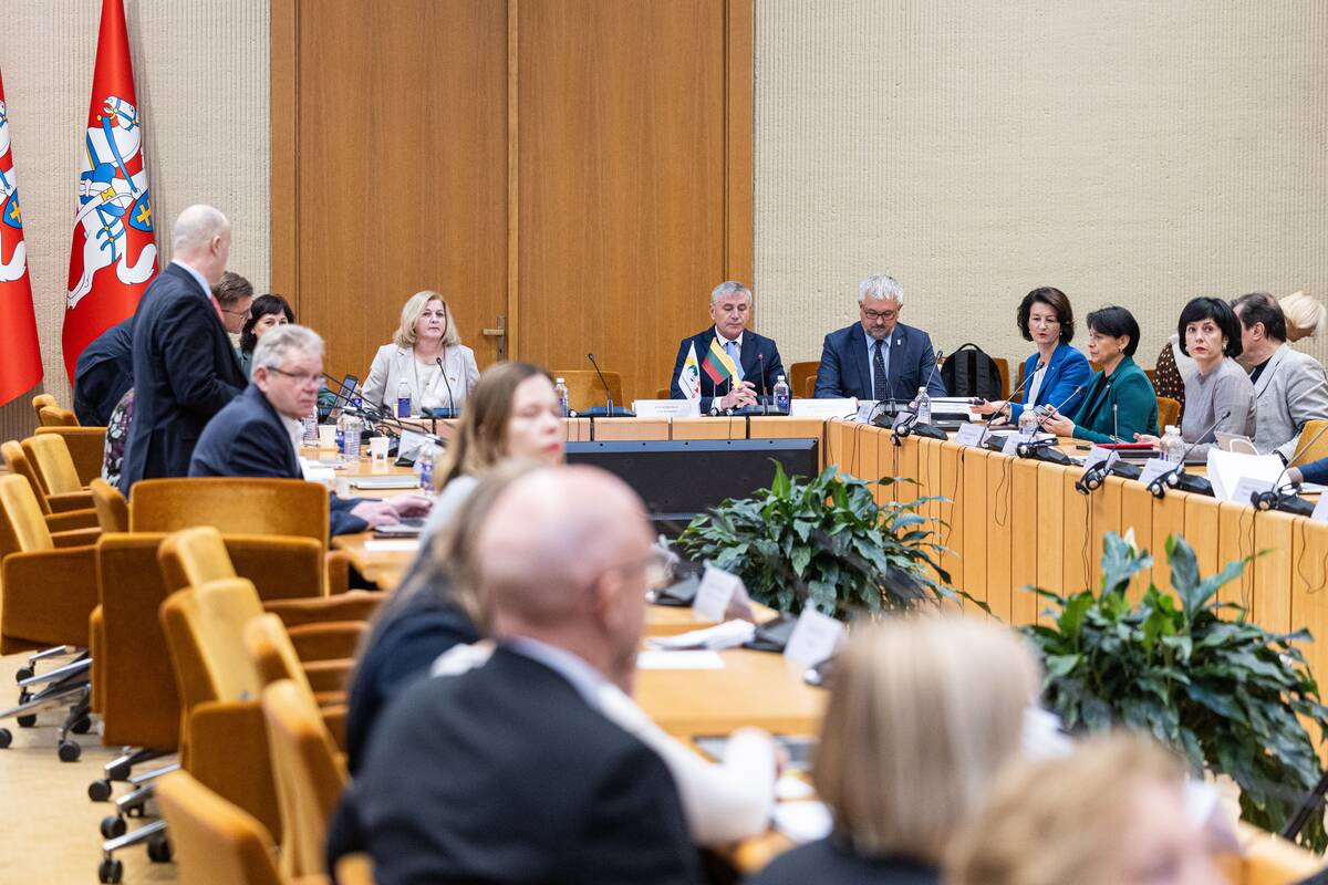 Seimo ir Pasaulio lietuvių komisijos posėdis