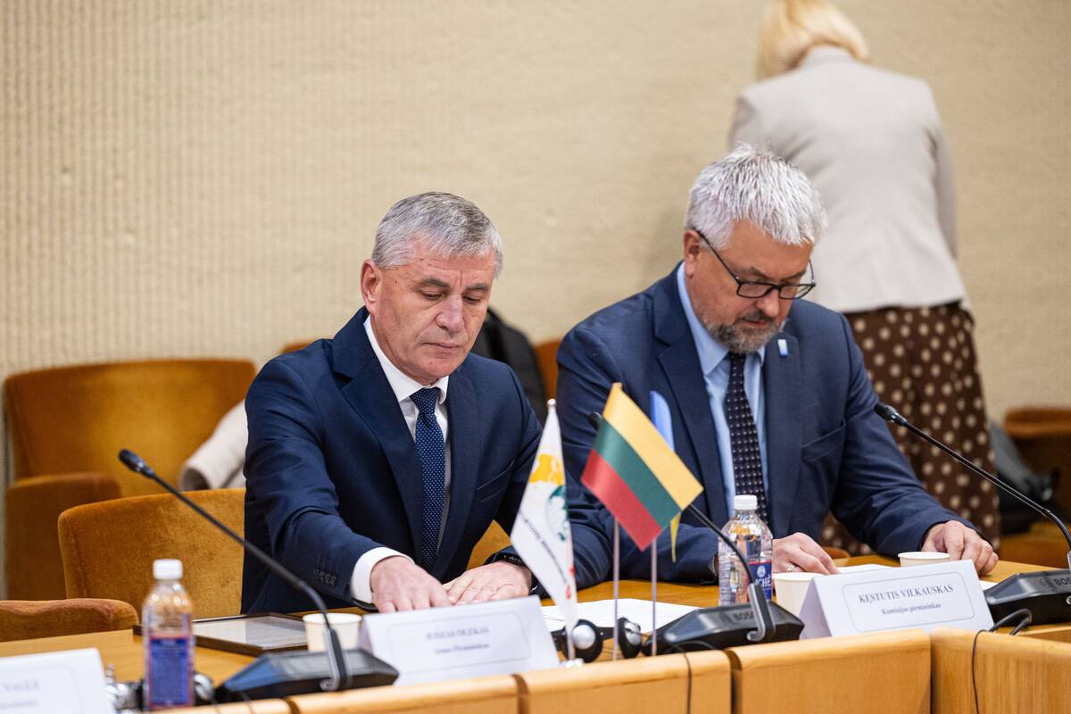 Seimo ir Pasaulio lietuvių komisijos posėdis