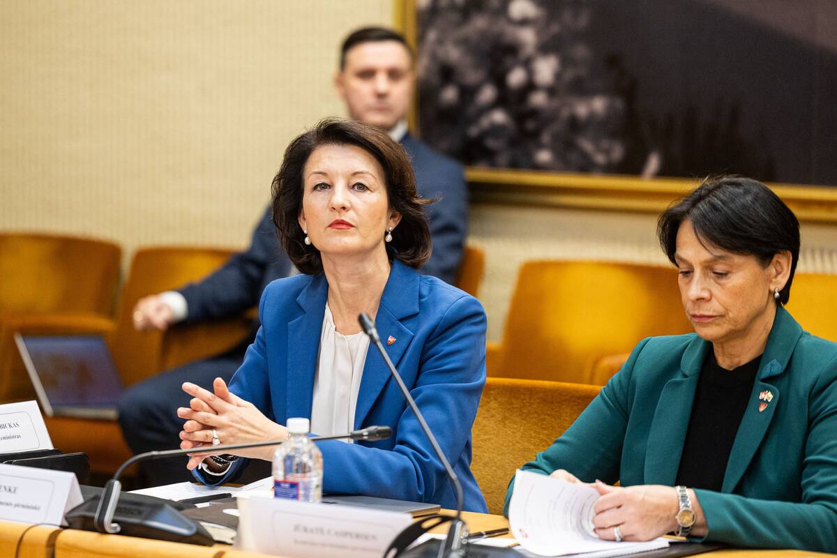 Seimo ir Pasaulio lietuvių komisijos posėdis