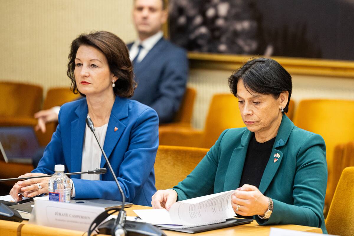 Seimo ir Pasaulio lietuvių komisijos posėdis