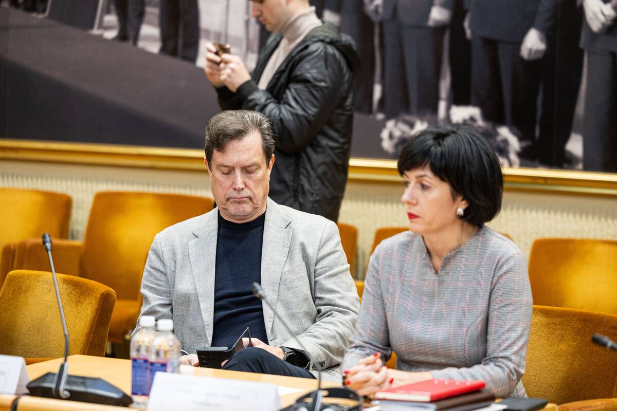 Seimo ir Pasaulio lietuvių komisijos posėdis