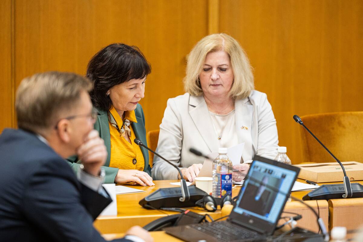 Seimo ir Pasaulio lietuvių komisijos posėdis