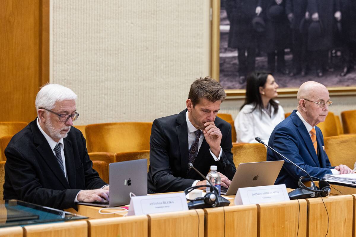 Seimo ir Pasaulio lietuvių komisijos posėdis