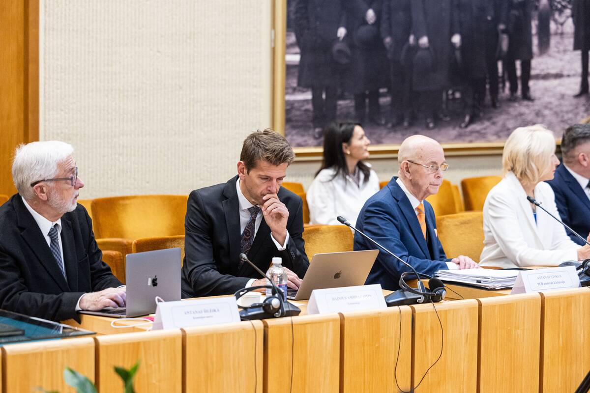 Seimo ir Pasaulio lietuvių komisijos posėdis