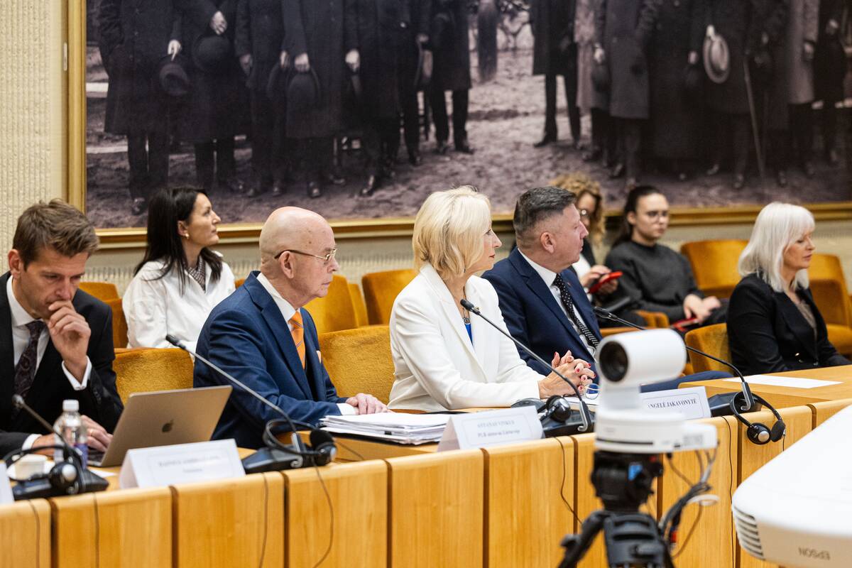 Seimo ir Pasaulio lietuvių komisijos posėdis