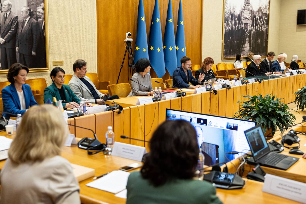 Seimo ir Pasaulio lietuvių komisijos posėdis