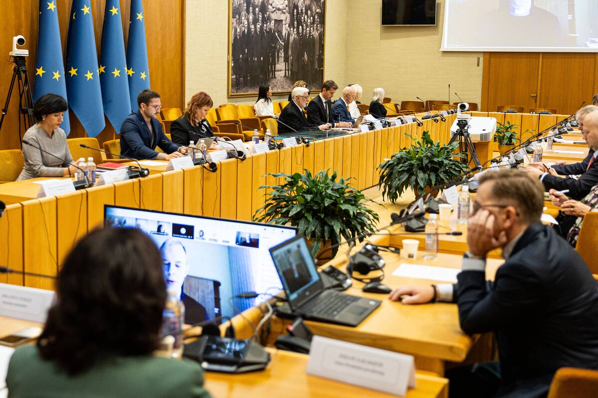 Seimo ir Pasaulio lietuvių komisijos posėdis