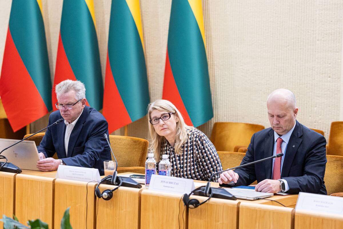 Seimo ir Pasaulio lietuvių komisijos posėdis