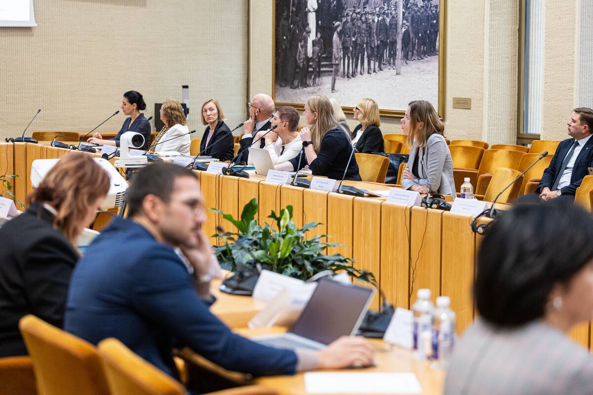 Seimo ir Pasaulio lietuvių komisijos posėdis