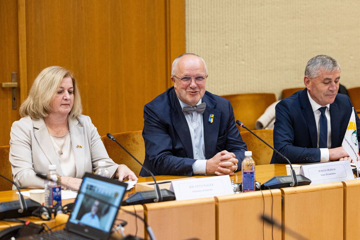 Seimo ir Pasaulio lietuvių komisijos posėdis