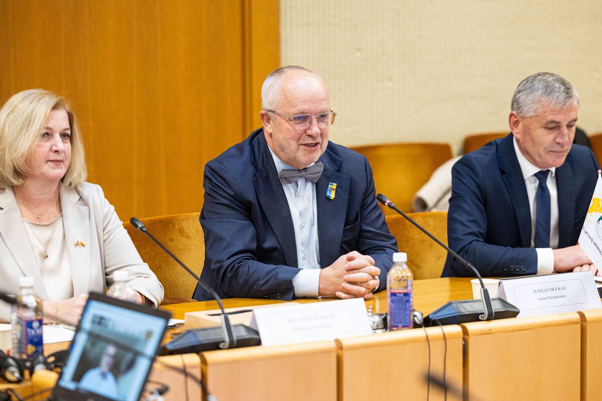 Seimo ir Pasaulio lietuvių komisijos posėdis