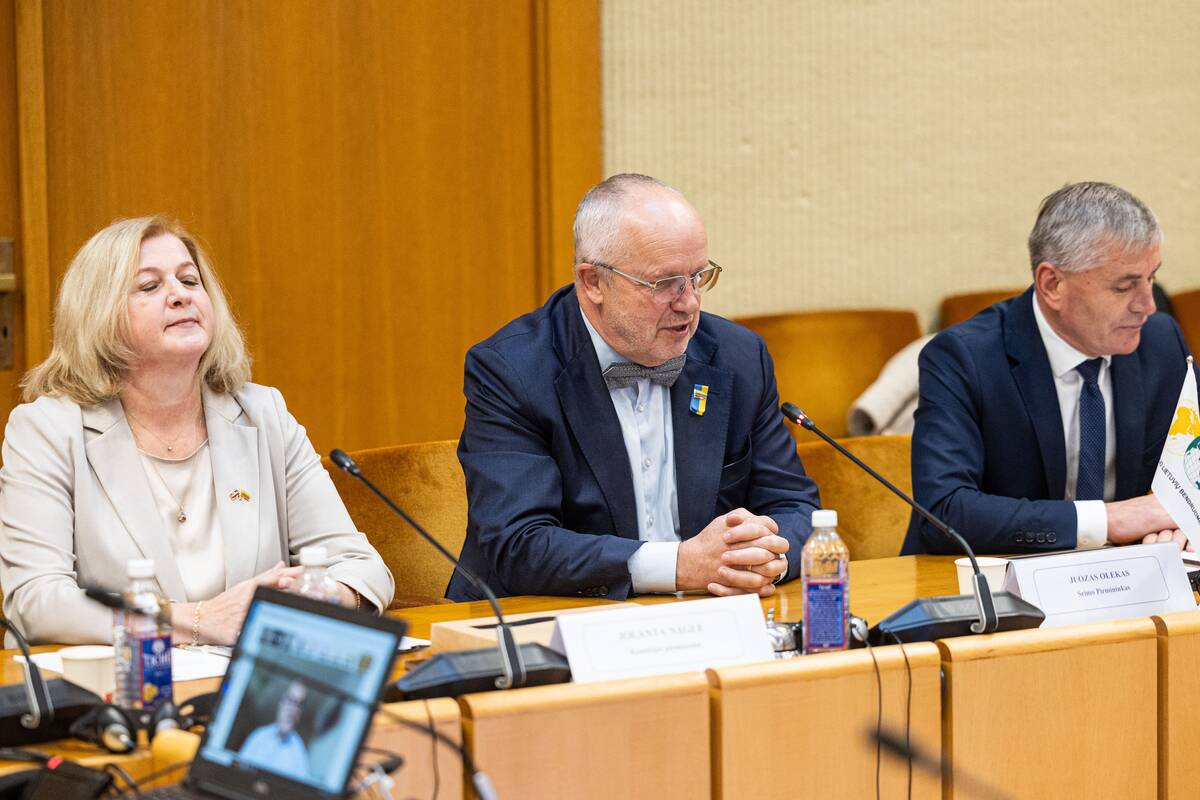 Seimo ir Pasaulio lietuvių komisijos posėdis