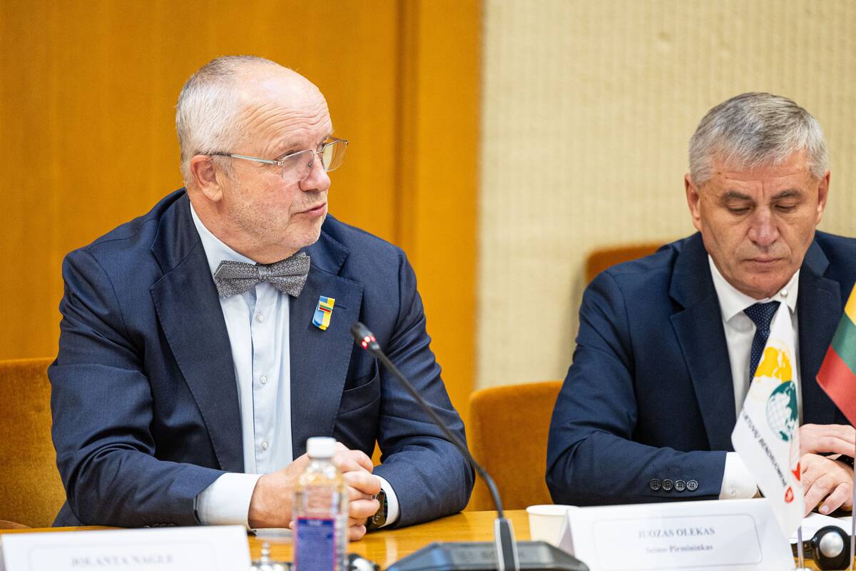 Seimo ir Pasaulio lietuvių komisijos posėdis