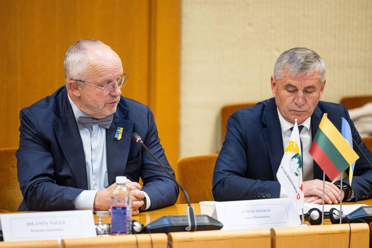 Seimo ir Pasaulio lietuvių komisijos posėdis