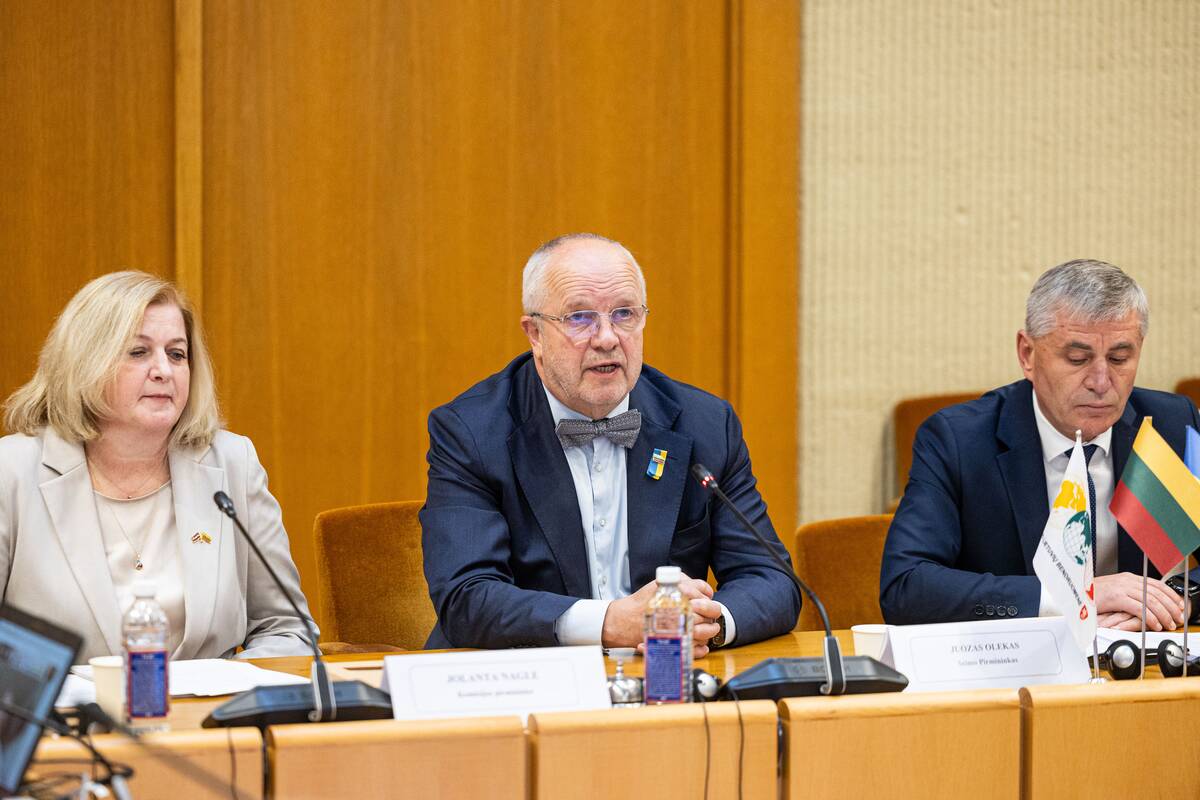 Seimo ir Pasaulio lietuvių komisijos posėdis