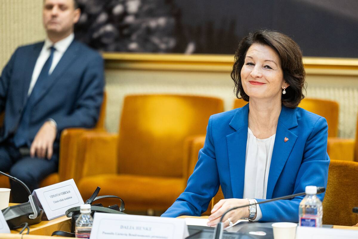 Seimo ir Pasaulio lietuvių komisijos posėdis