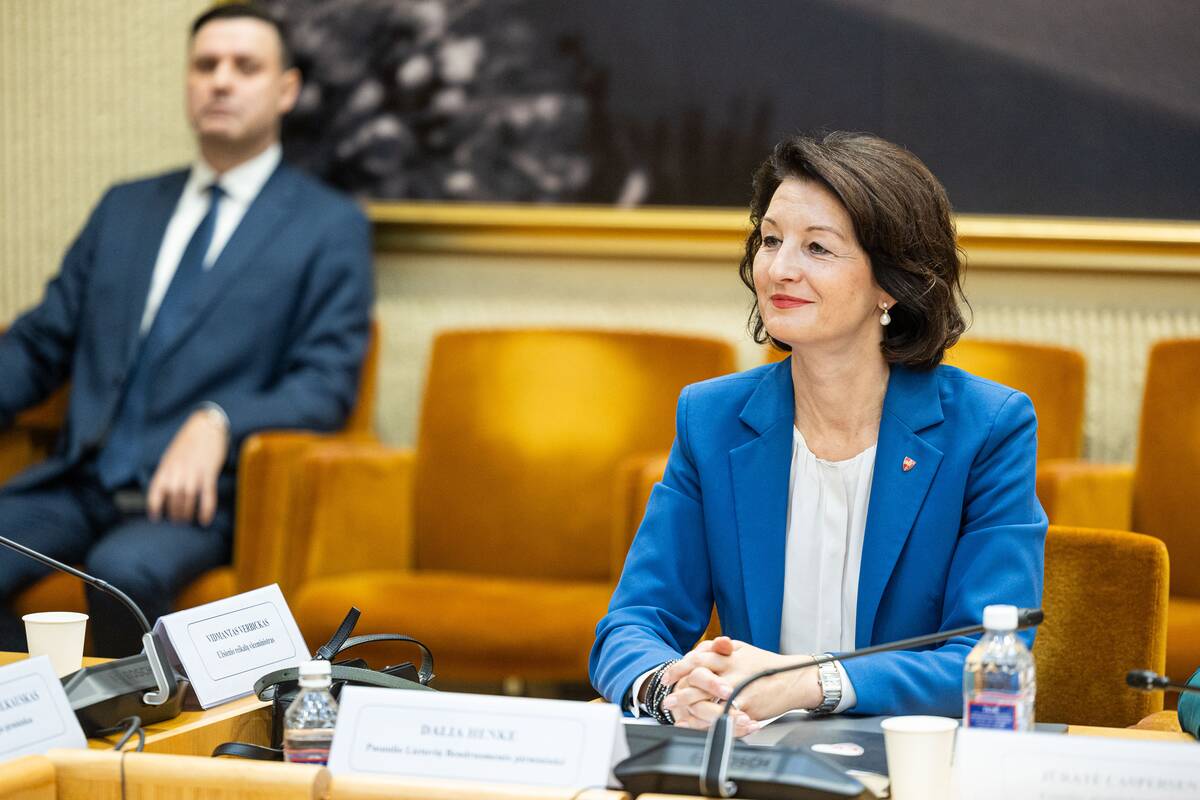 Seimo ir Pasaulio lietuvių komisijos posėdis