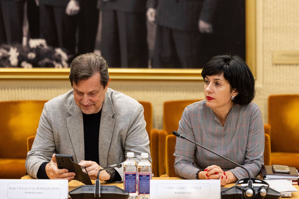 Seimo ir Pasaulio lietuvių komisijos posėdis