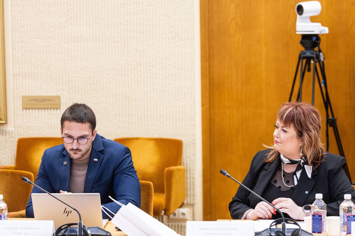 Seimo ir Pasaulio lietuvių komisijos posėdis
