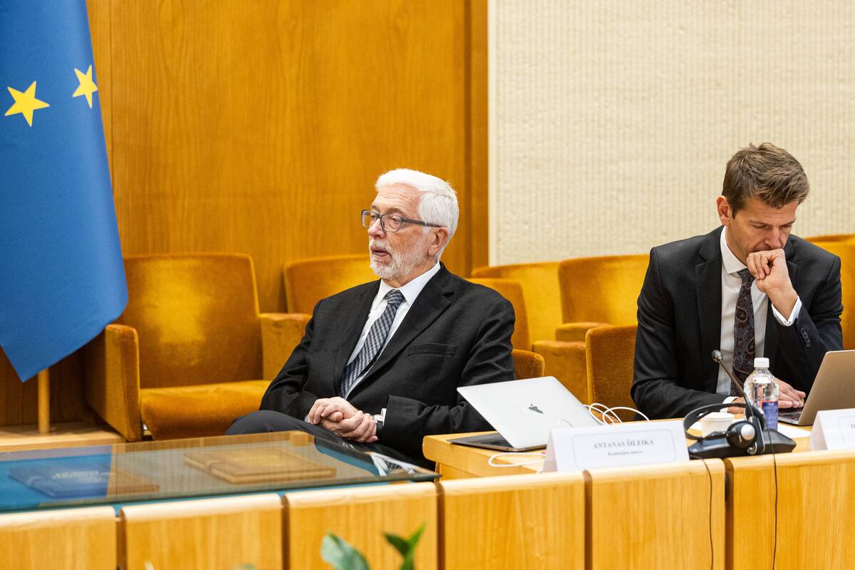 Seimo ir Pasaulio lietuvių komisijos posėdis