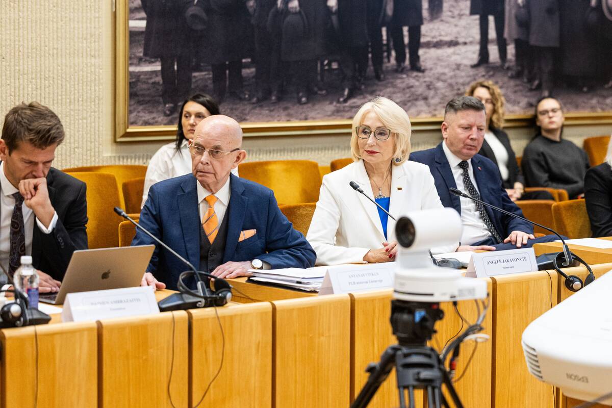 Seimo ir Pasaulio lietuvių komisijos posėdis