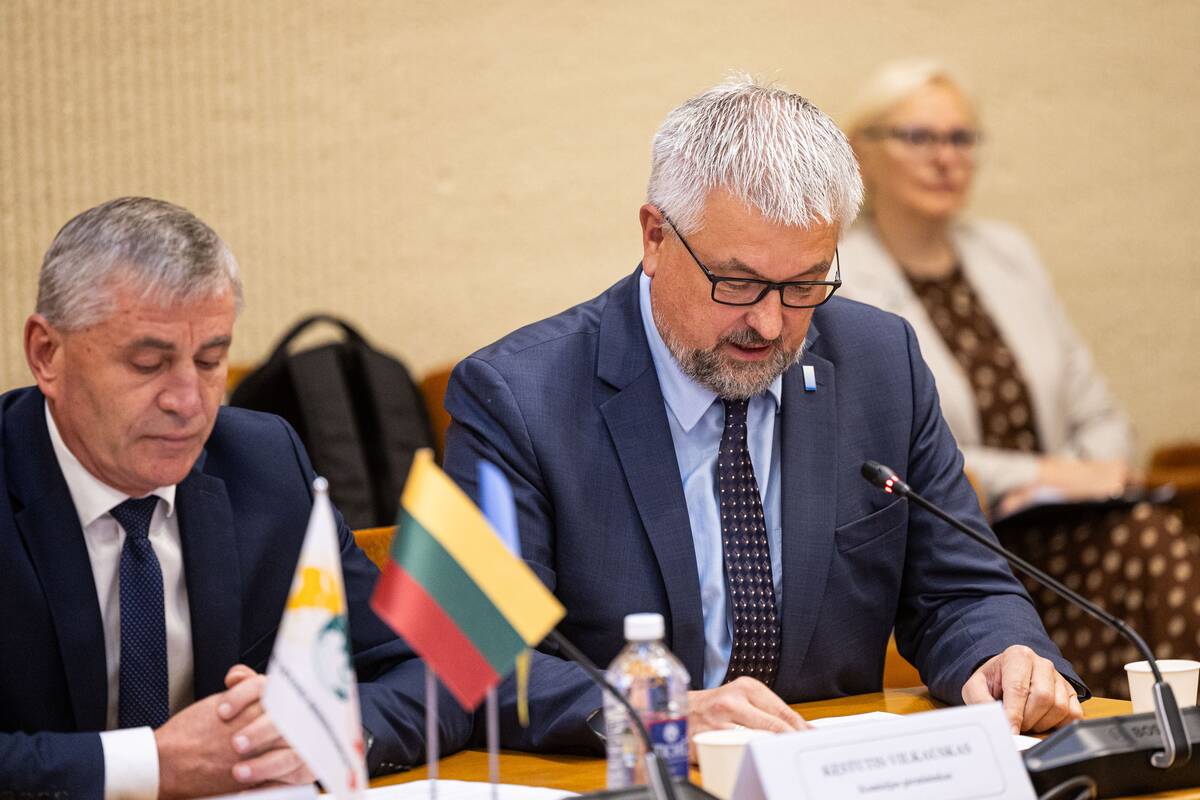 Seimo ir Pasaulio lietuvių komisijos posėdis