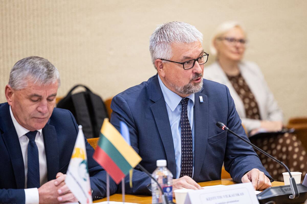 Seimo ir Pasaulio lietuvių komisijos posėdis