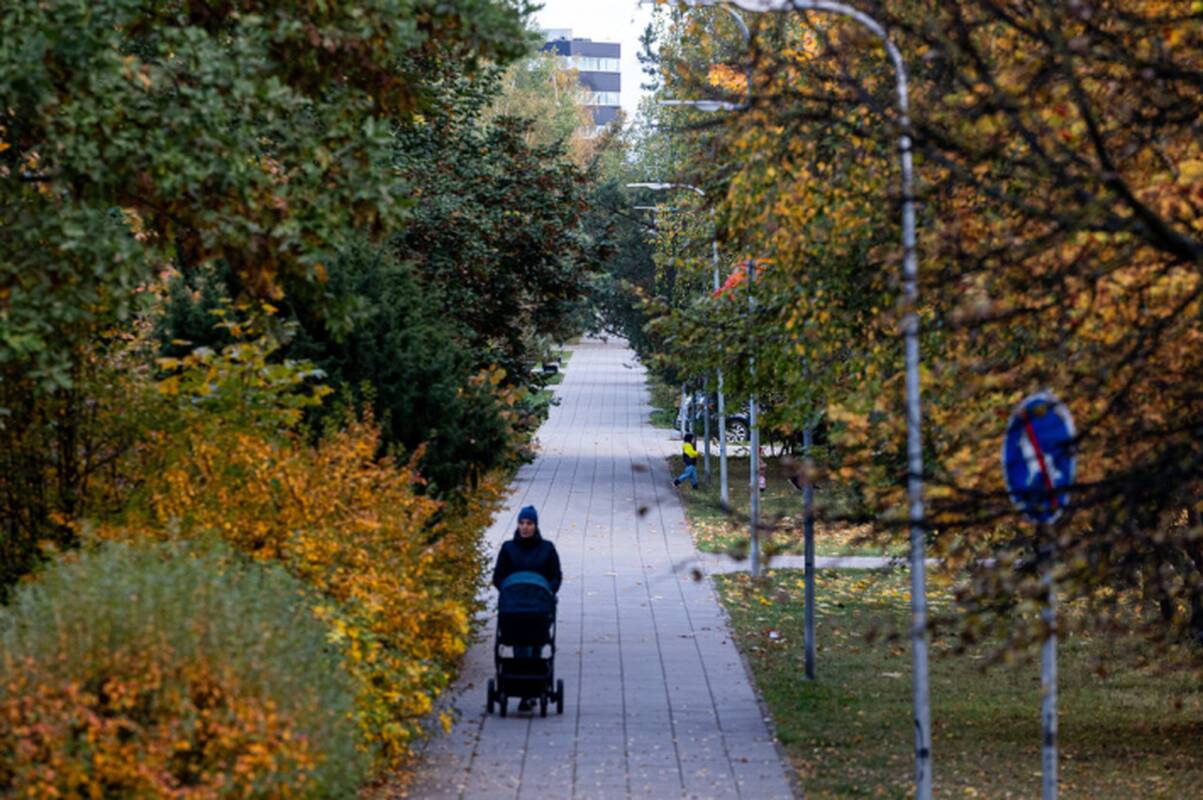 
<span>Vilniuje atsiras Jeruzalės ir Bendruomenės parkai, Ugnijos skveras, Glando gatvė</span>
