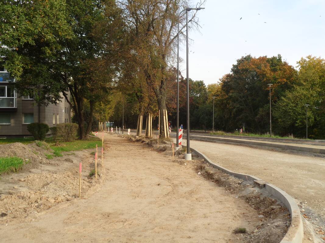 M. Riomerio ir Biržiškų gatvių remontas