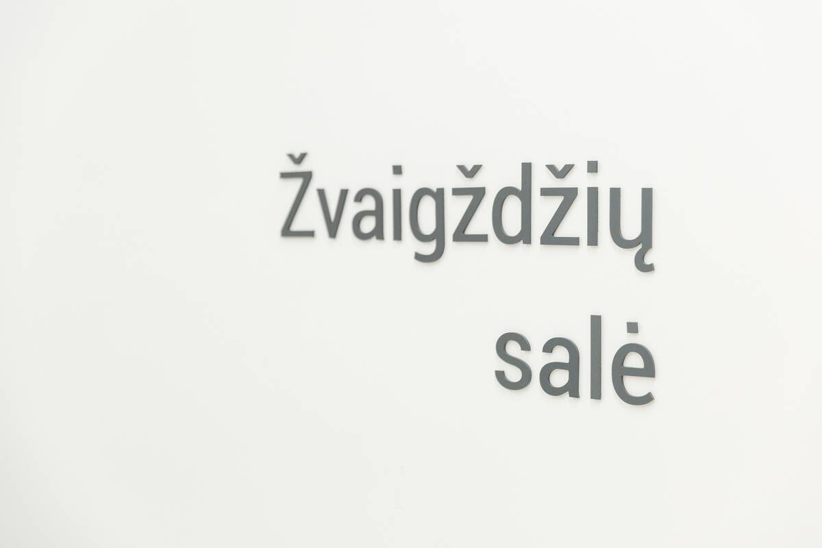 Neskaitymo festivalis Ąžuolyno bibliotekoje