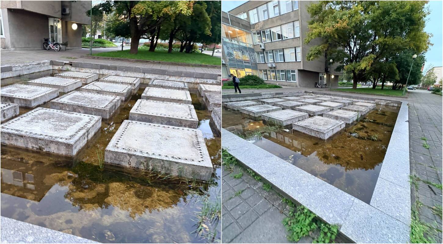 Pastebėjo: klaipėdiečių dėmesį patraukė apleistas statinys – čia telkšo pažaliavęs vanduo ir veši žolės.