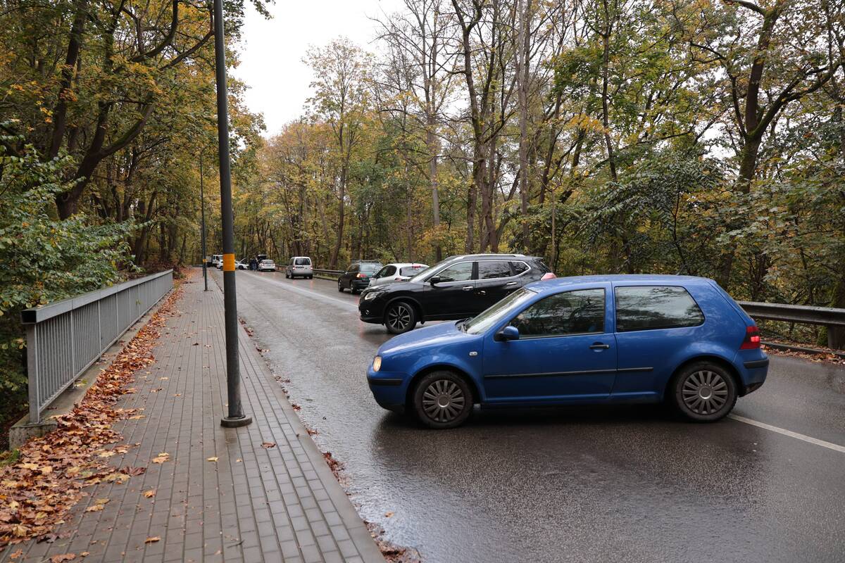 Avarija prie Zoologijos sodo  