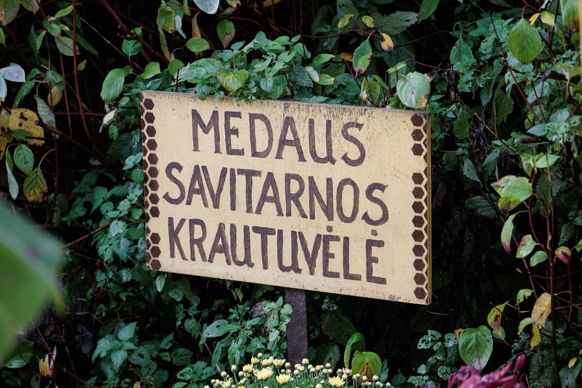 Medaus savitarnos stotelės