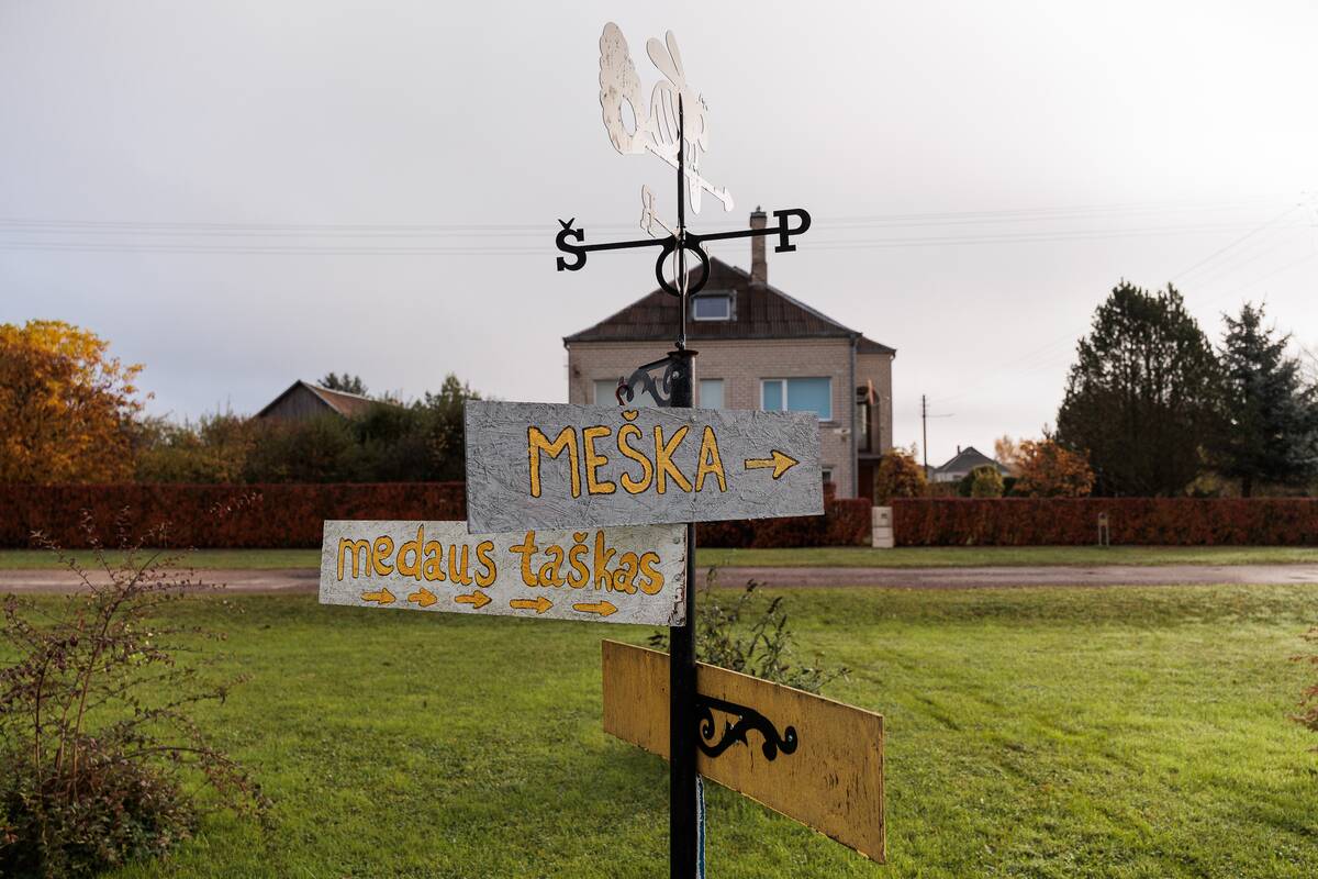 Medaus savitarnos stotelės