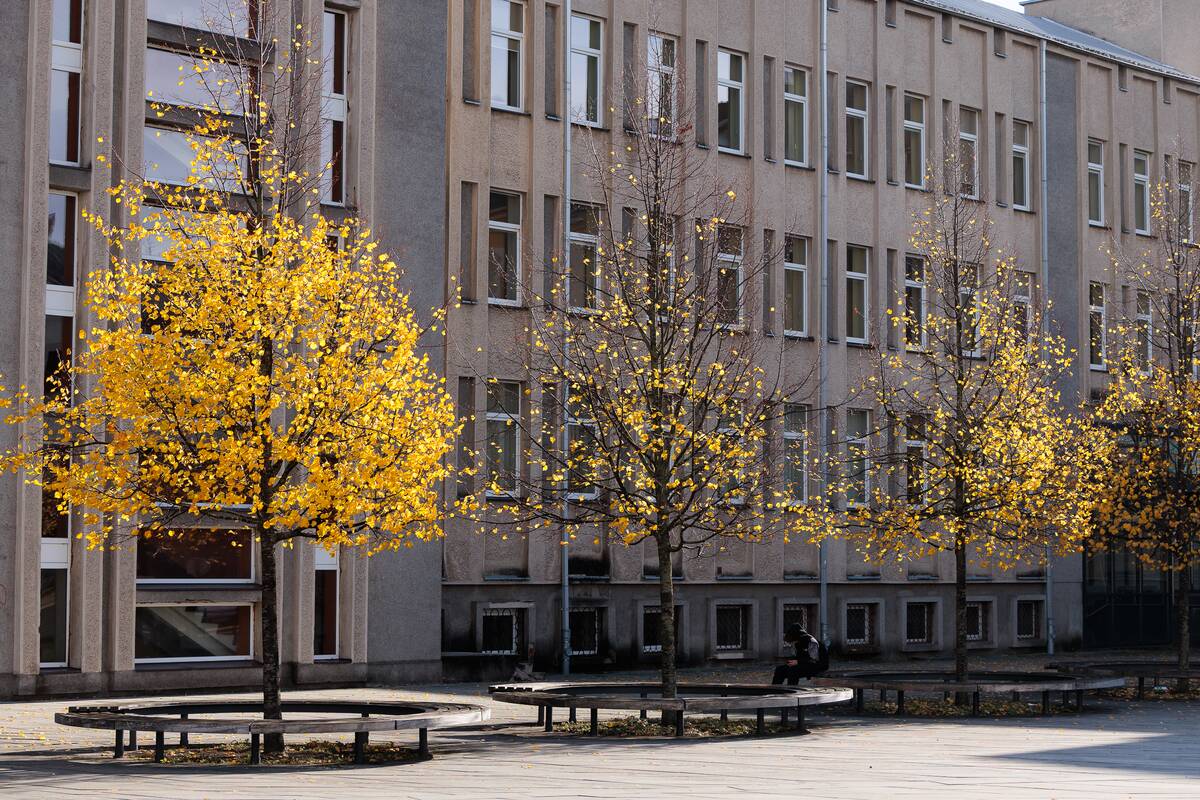 Kauniečių diena (2026-10-24)