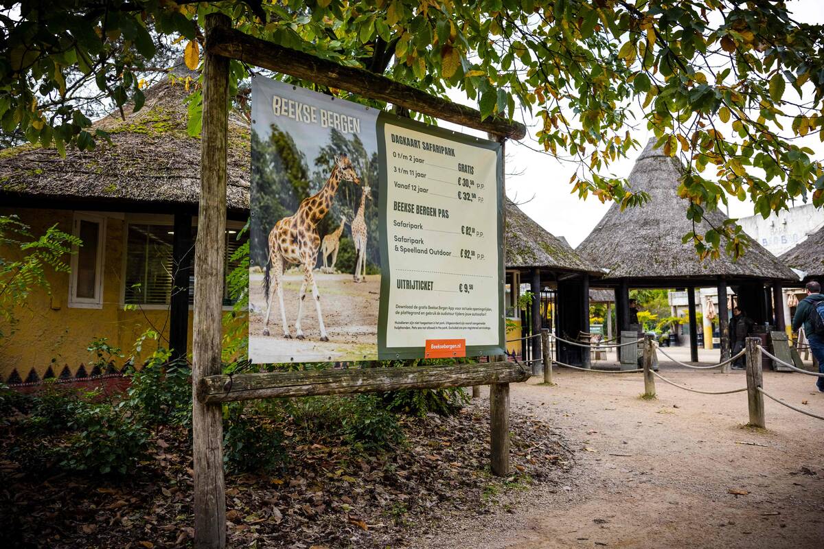 
<span>Nyderlandų zoologijos sode leopardas mirtinai sužalojo prižiūrėtoją</span>
