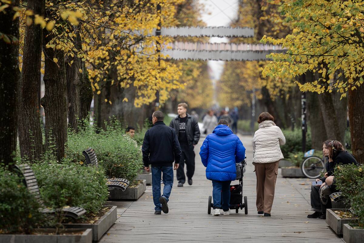 Kauniečių diena (2026-10-28)