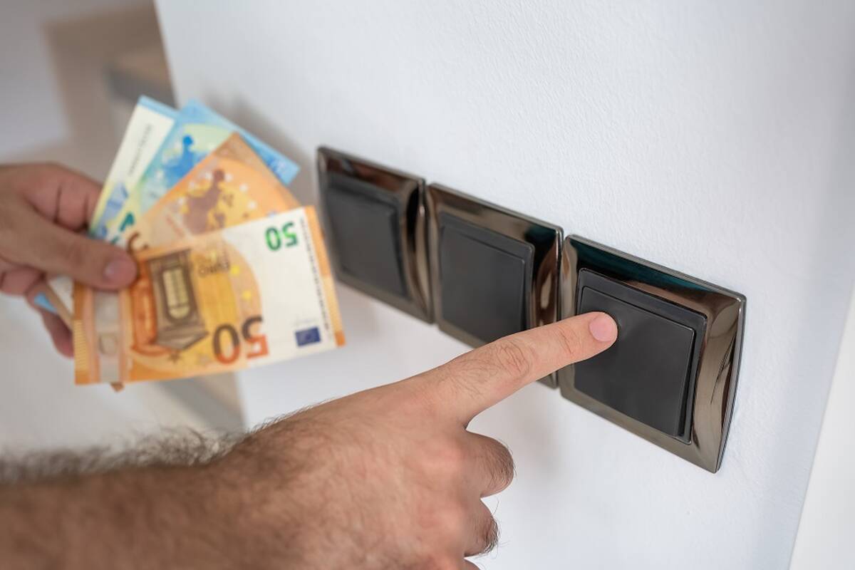 
<span>Patvirtino: kokią tiekėjams kompensuojamų sąnaudų dalį turės padengti visi elektros vartotojai?</span>
