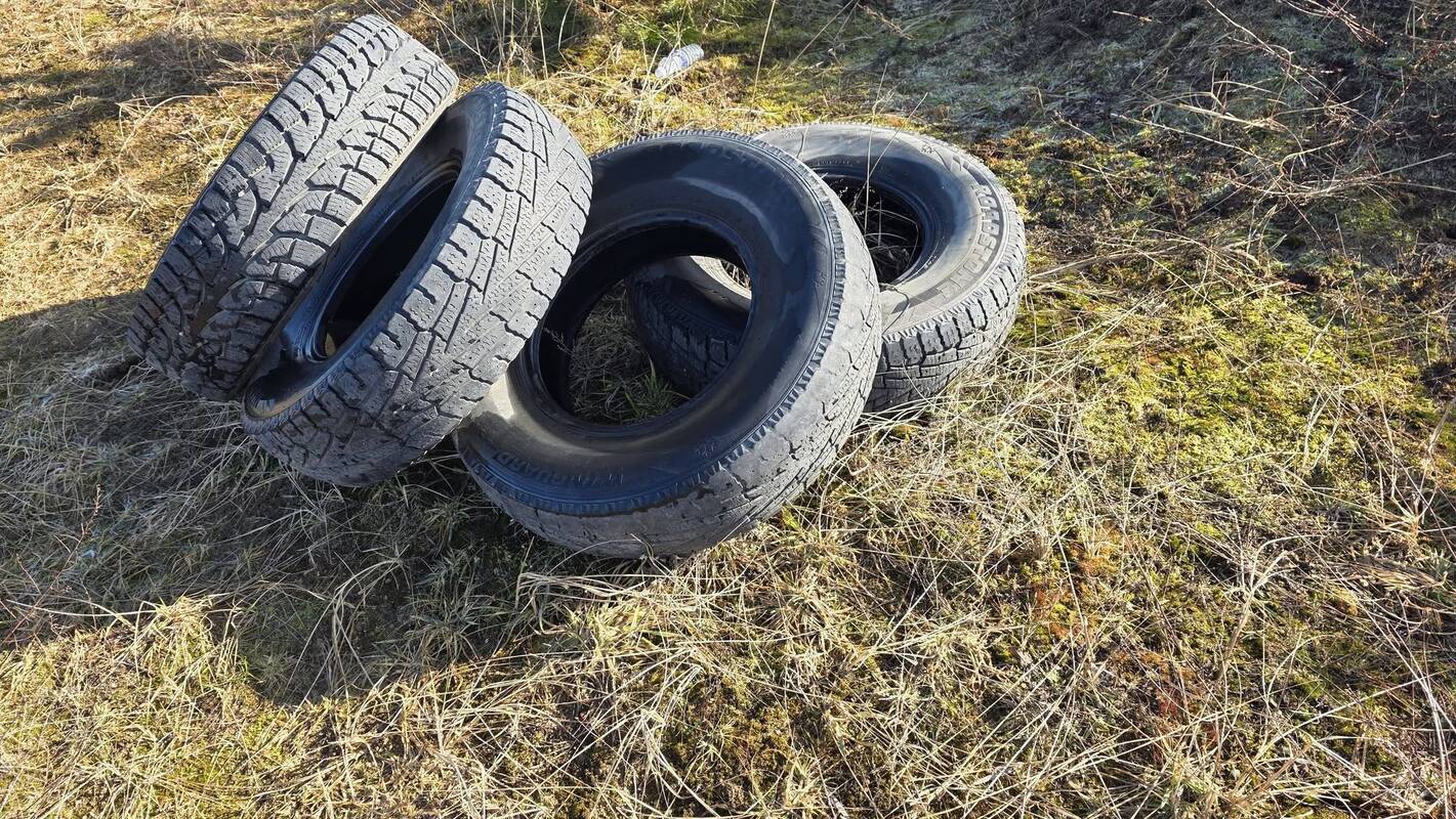 Rinks: atokesnėse uostamiesčio vietose teks organizuoti atliekų ir padangų surinkimą.