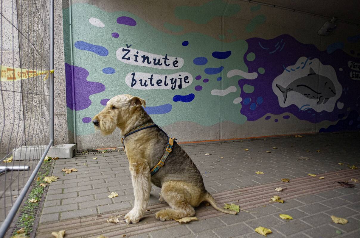 Vaizdai: požeminėje perėjoje jaunieji menininkai sukūrė freską, pasakojančią apie Baltijos jūros gyvūnus.