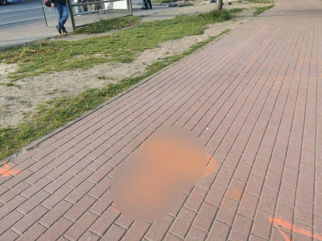 Nekultūringa: kažkas kreidelėmis šaligatvį išmargino ne gėlėmis ar šypsenėlėmis – paliko itin vulgarius piešinius.