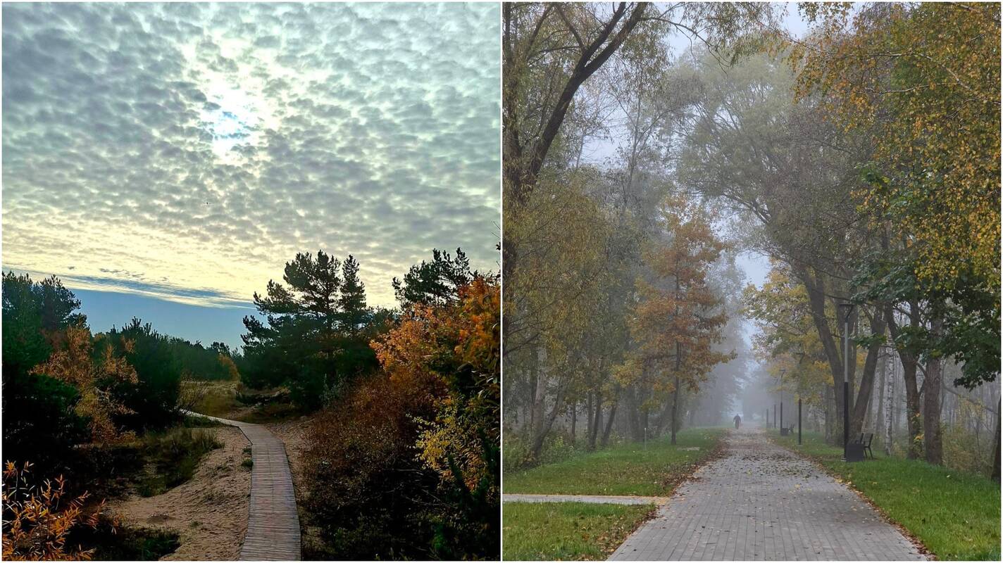 
<span>Orai Lietuvoje išliks rudeniški</span>
