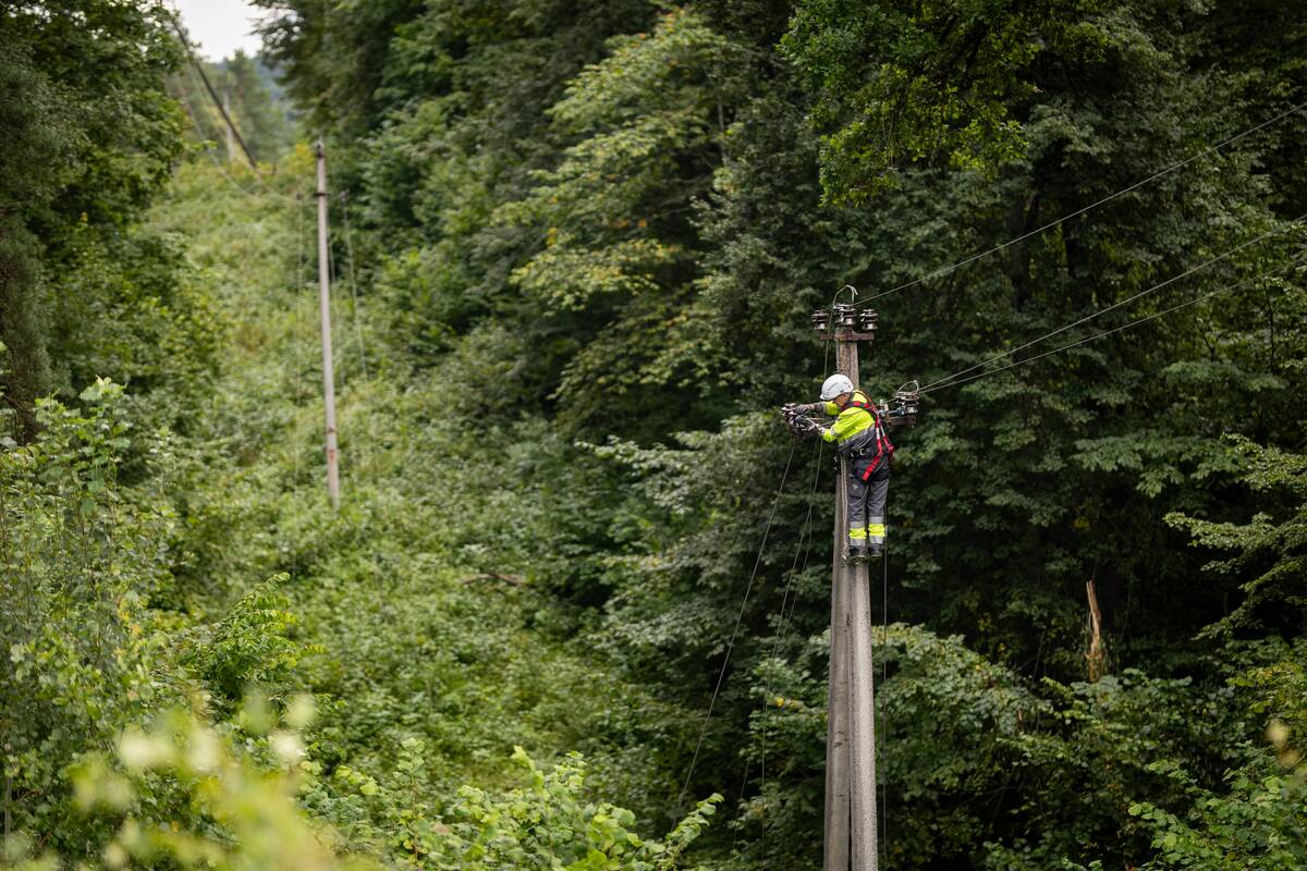
<span>ESO: galimybė pasitelkti užsienio brigadas elektros atkūrimą galėtų sutrumpinti 2-4 paromis</span>
