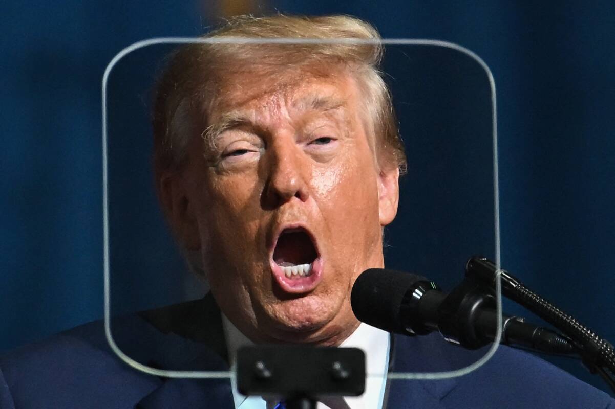 
<span>„Coface“: tikėtinas respublikonų pralaimėjimas JAV rinkimuose Trumpo nesustabdys</span>
