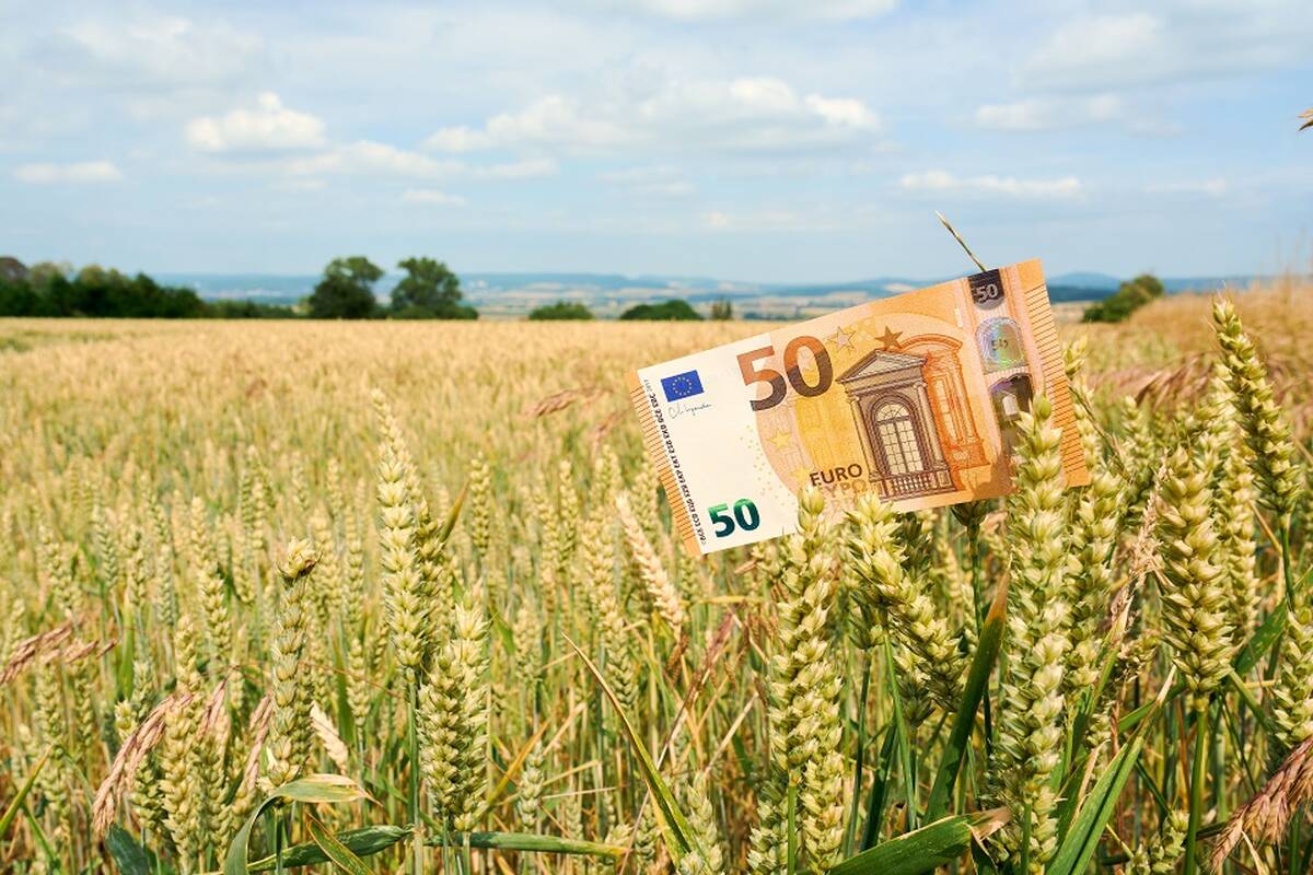 
<span>Pasigenda dialogo ir skaidrumo: 20 mln. eurų parama palieka nuošalyje dalį ūkininkų?</span>
