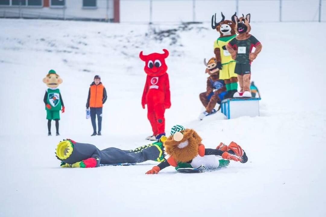 Talismanų varžybos „LTeam olimpiniame žiemos festivalyje“