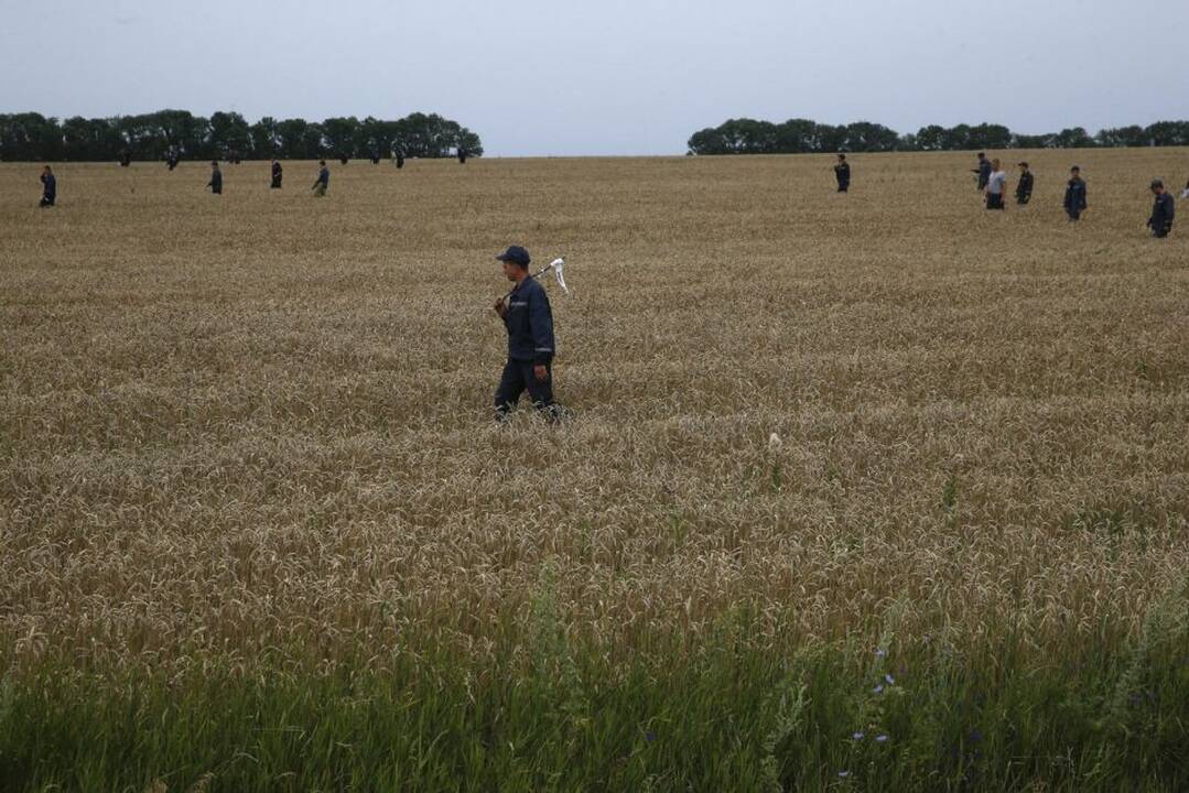 Malaizijos lėktuvo katastrofa Ukrainoje