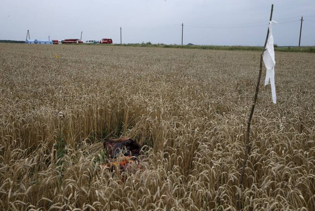 Malaizijos lėktuvo katastrofa Ukrainoje