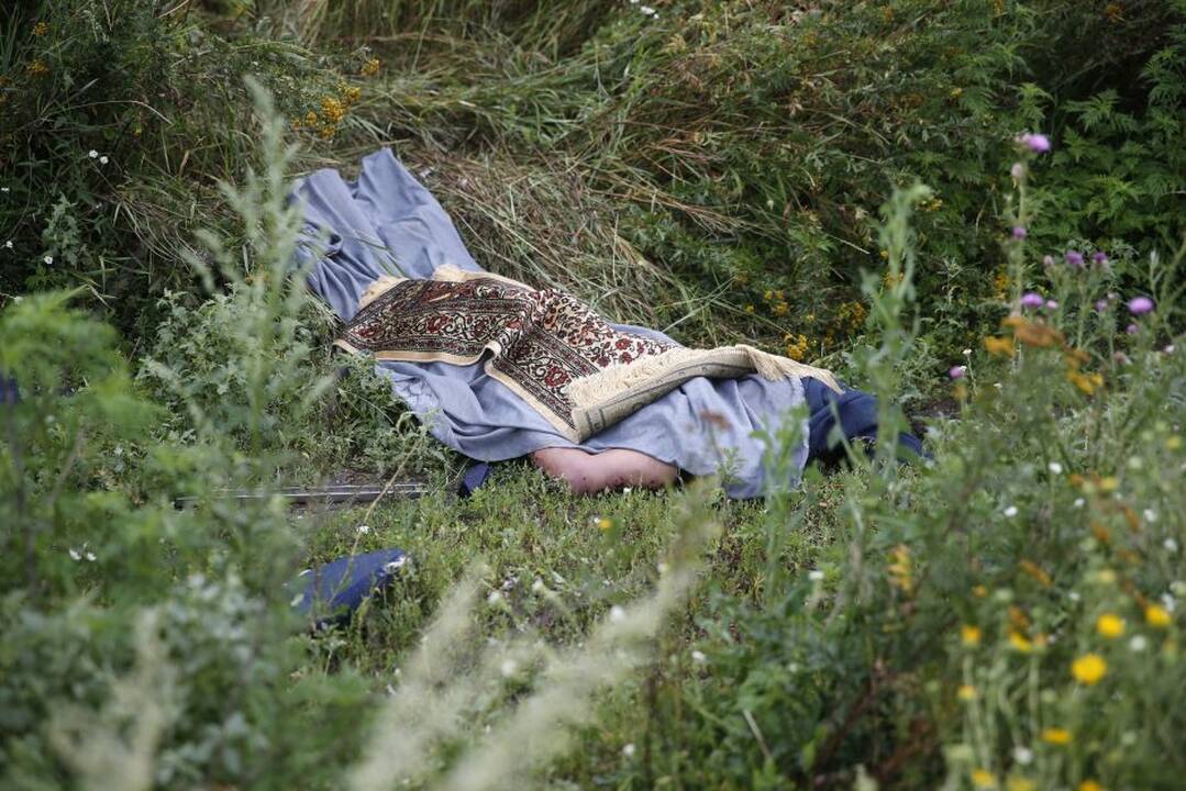 Malaizijos lėktuvo katastrofa Ukrainoje