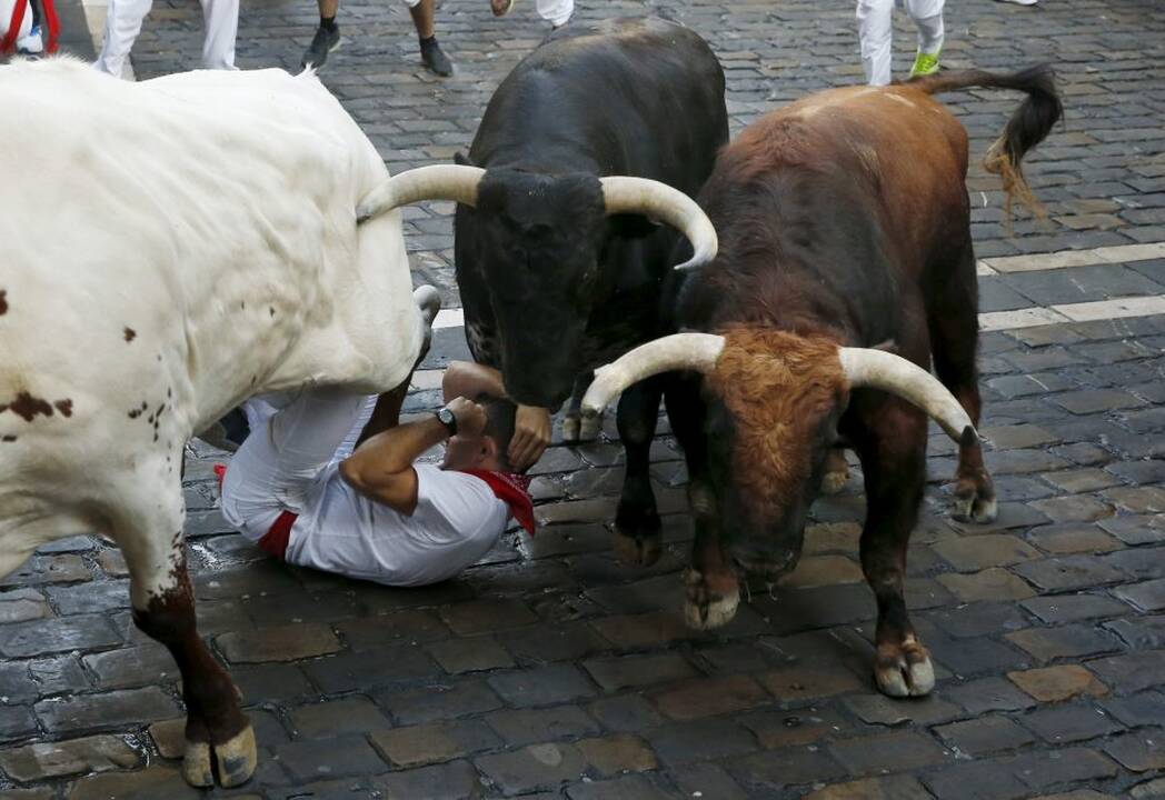 Pirmasis San Fermino festivalio bulių bėgimas